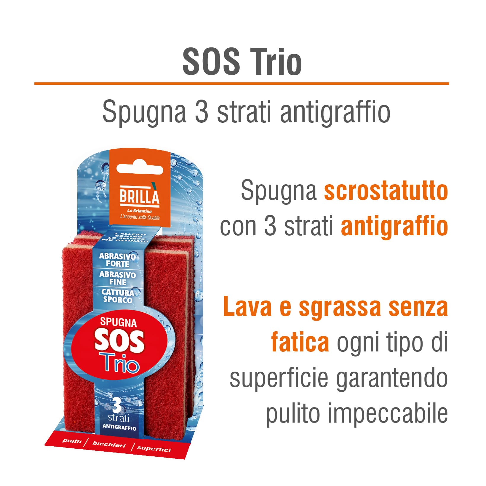 2 SPUGNE SOS PER SPORCO OSTINATO